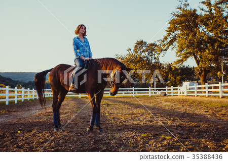 Evening walk on the horse Evening walk on the horse 35388436