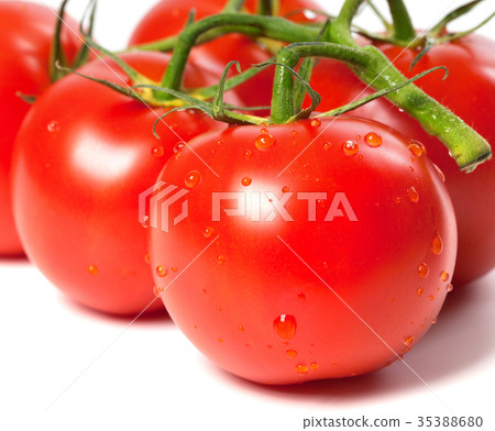Ripe wet tomato with water drops Ripe wet tomato with water drops 35388680