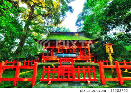 Usa Shrine Usa Shrine 35388763