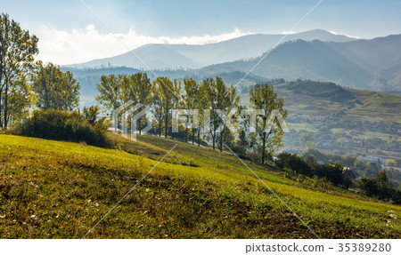 trees on hillside in mountainous countryside trees on hillside in mountainous countryside 35389280