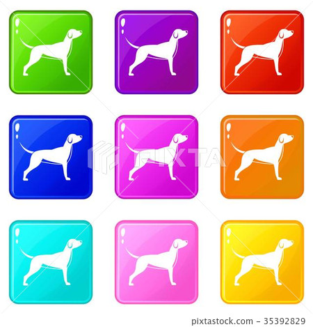 Dog set 9 35392829