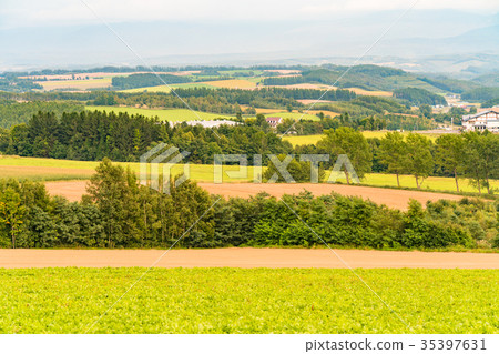 <<Hokkaido>> Rural scenery seen from Kamifurano/hill <<Hokkaido>> Rural scenery seen from Kamifurano/hill 35397631
