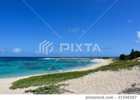 奄美大島Tomori海岸 奄美大島Tomori海岸 35398307