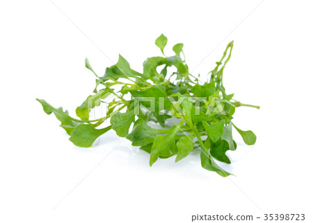 fresh watercress on white background 35398723