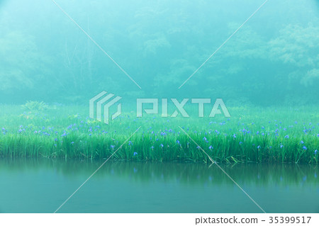 Hiraike Kakitsubata Hiraike Kakitsubata 35399517