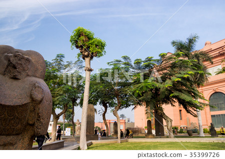 Palms on background in Cairo, Egypt Palms on background in Cairo, Egypt 35399726