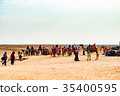 Camel caravan in Egypt 35400595