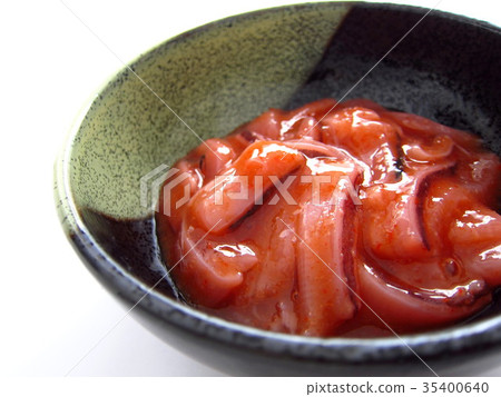 Squid Akaita 35400640