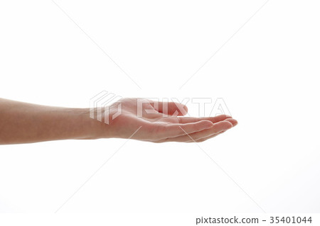 Female palm 35401044