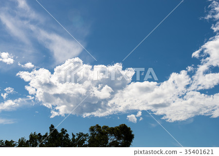 台灣 風景 天空 雲 白雲 雲朵 藍天 晴朗 晴空 龍 龍頭 龍形 形狀 陽光 仰望 竹北 新竹 35401621