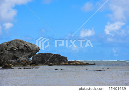 奄美大島Tomori海岸 35401689