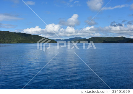 大島頻道 35401699