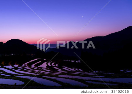 Tanada dawn Tanada dawn 35402016