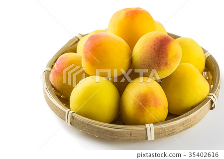 黃色成熟李子 35402616