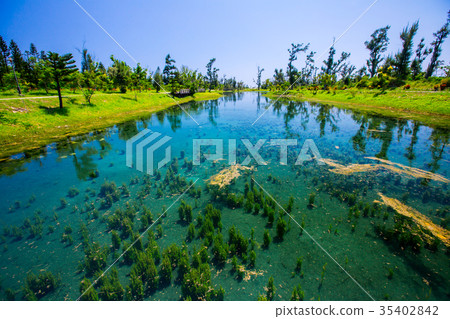 台東森林公園-琵琶湖.活水湖Asia Taiwan Taitung Forest Lake Park 35402842