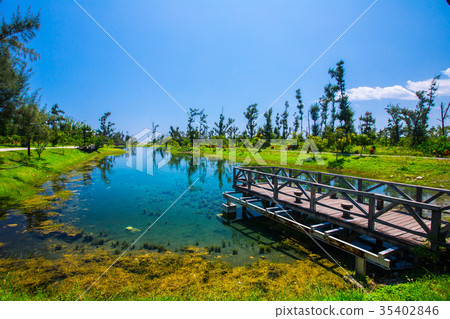 Taitung Forest Park - Wuhu. Live Water Lake Asia Taiwan Taitung Forest Lake Park 35402846