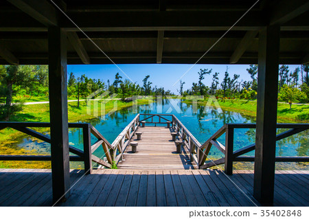 Taitung Forest Park - Wuhu. Live Water Lake Asia Taiwan Taitung Forest Lake Park 35402848