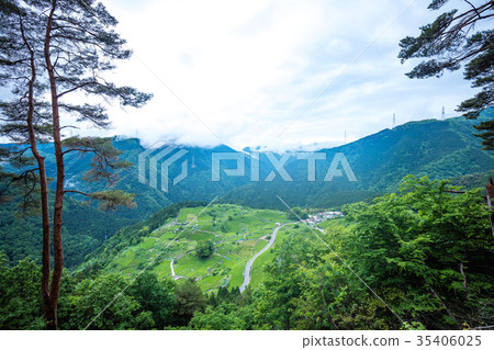 岐阜的馬丘比丘(天空中的teafield) 岐阜的馬丘比丘(天空中的teafield) 35406025