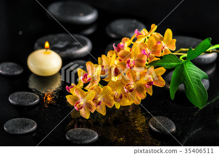 spa composition of blooming twig  orchid flower, 35406511