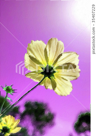 Expressionism Style Oil Painting; Pink Cosmos Expressionism Style Oil Painting; Pink Cosmos 35407229