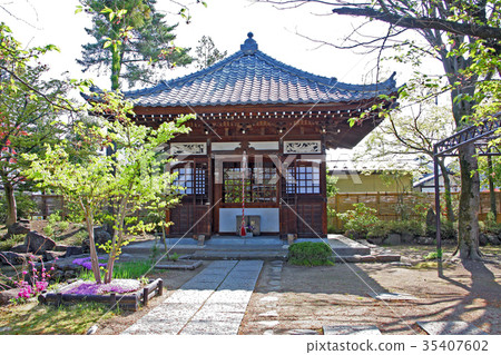 信濃國分寺 35407602