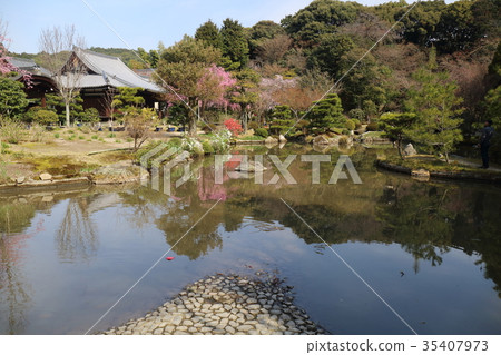 京都Harukon Goin春天 35407973