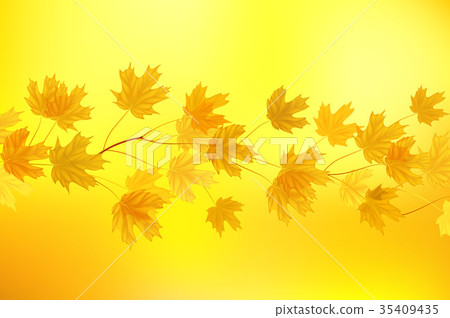 Autumn background with yellow leaves 35409435