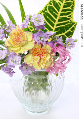 Carnation Flower Arrangement 35409449