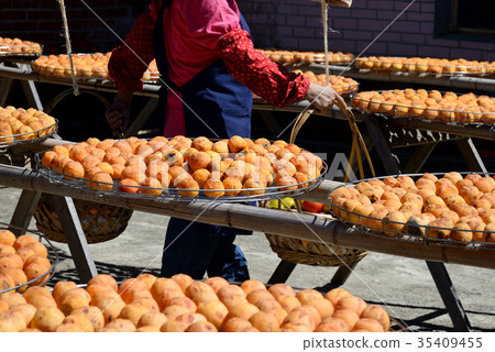 柿子 柿餅 曬柿餅 曬柿子 曬太陽 戶外 柿餅季 秋天 觀光工廠 美食 水果 季節 竹北 新竹 新埔 35409455