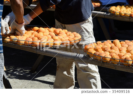 Persimmon Persimmon Persimmon Persimmon Sunburn Outdoor Sun Persimmon Season Autumn Sightseeing Factory Gourmet Fruit Season Bamboo North Hsinchu Xinpu 35409516