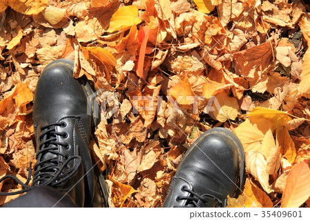 Black lace-up shoes walking on fallen leaves Black lace-up shoes walking on fallen leaves 35409601