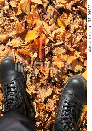 Black lace-up shoes walking on fallen leaves 35409602