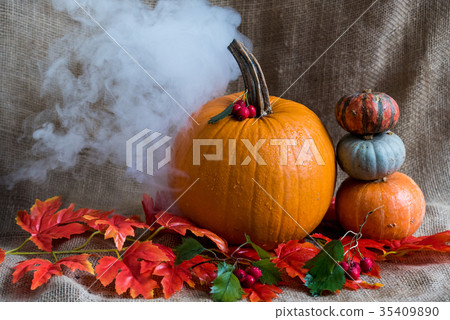 Close up various pumkins and red leaves Close up various pumkins and red leaves 35409890