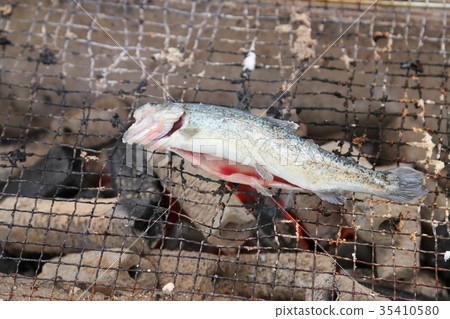 Fish grilled Fish grilled 35410580