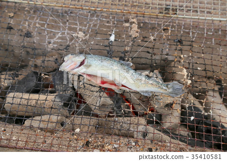 Fish grilled Fish grilled 35410581