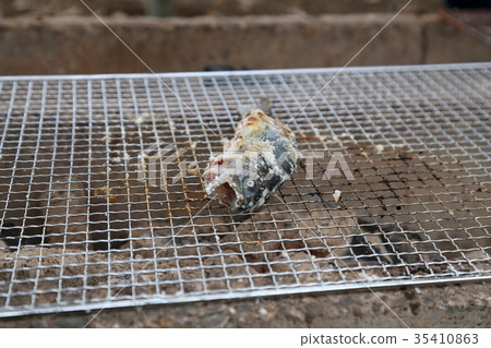 Fish grilled Fish grilled 35410863