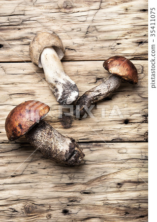 harvest of forest mushrooms 35411075