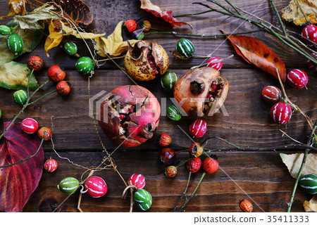 Autumn tree nuts 35411333