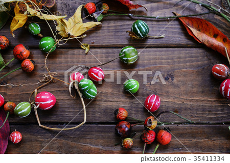 Autumn tree nuts Autumn tree nuts 35411334