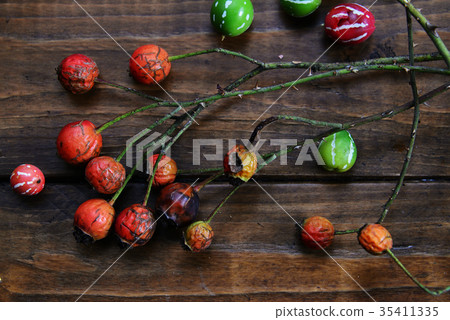 Autumn tree nuts 35411335