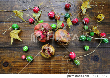 Autumn tree nuts 35411337