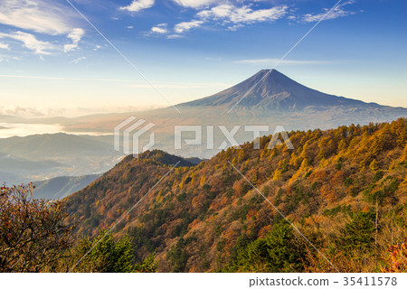 秋葉和富士山清早三片葉子 秋葉和富士山清早三片葉子 35411578