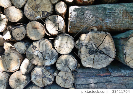 木頭 木材 木紋 陽光 柴火 樹幹 堆疊 鄉村 鄉下 原始 自然 樹皮 樹木 冬季 生活 建材 燃料 木頭 木材 木紋 陽光 柴火 樹幹 堆疊 鄉村 鄉下 原始 自然 樹皮 樹木 冬季 生活 建材 燃料 35411704
