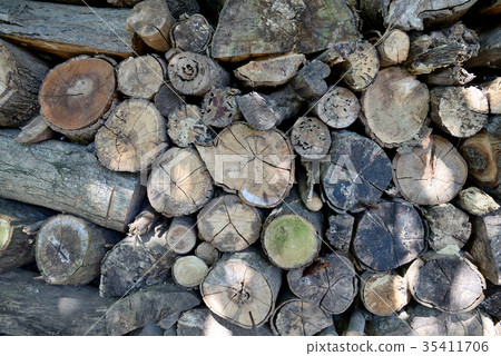 木頭 木材 木紋 陽光 柴火 樹幹 堆疊 鄉村 鄉下 原始 自然 樹皮 樹木 冬季 生活 建材 燃料 木頭 木材 木紋 陽光 柴火 樹幹 堆疊 鄉村 鄉下 原始 自然 樹皮 樹木 冬季 生活 建材 燃料 35411706