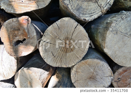 Wood wood wood grain sunlight firewood trunk stacking countryside countryside original nature bark trees winter life building materials fuel 35411708