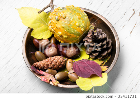 symbolic autumn still life symbolic autumn still life 35411731