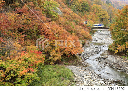 Tadami line of autumn leaves 35412392