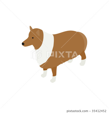 Collie dog icon, isometric 3d style Collie dog icon, isometric 3d style 35412452