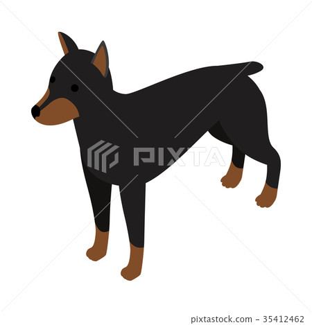 Doberman dog icon, isometric 3d style Doberman dog icon, isometric 3d style 35412462