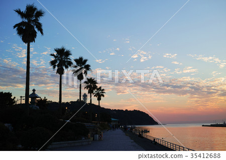 Katase河口的晚上視圖 35412688